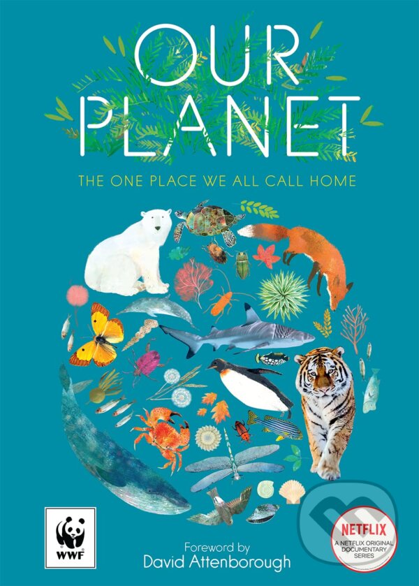 Levně Our Planet (The One Place We All Call Home) - Matt Whyman, Richard Jones (Ilustrátor) - kniha z kategorie Naučné knihy
