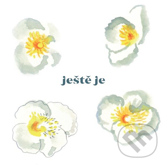 Levně Vladimír Javorský: Ještě je LP - Vladimír Javorský