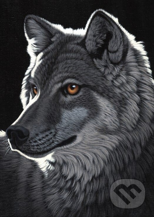 Levně Schim Schimmel - Night Wolf - puzzle z kategorie Umelecké