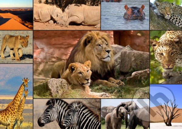 Levně Collage - Wildlife - puzzle z kategorie Zvieratá