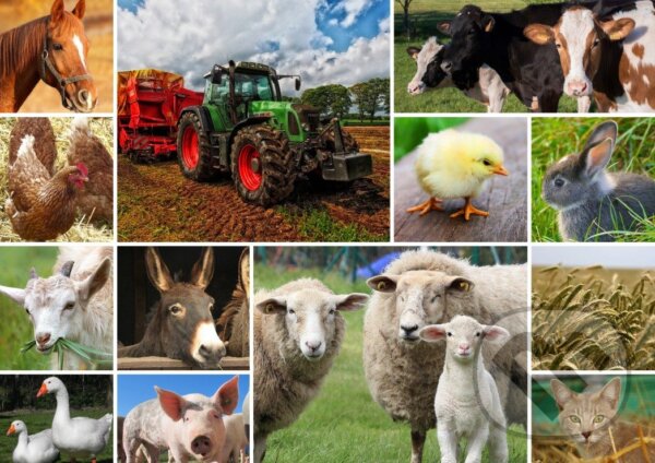Levně Collage - Farmyard Animals - puzzle z kategorie Umelecké