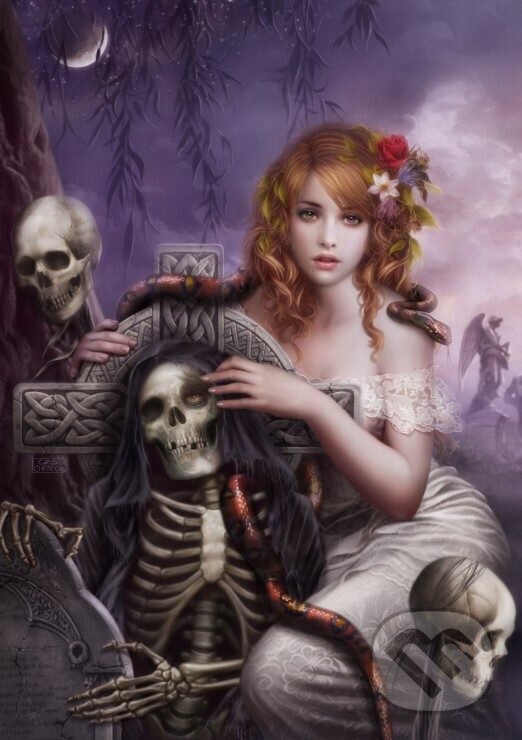Grafika puzzle Memento Mori 1500 dílků