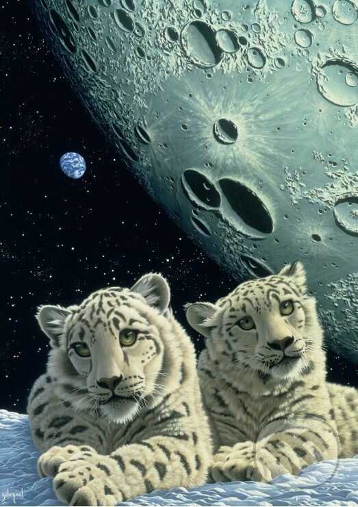Levně Schim Schimmel - Lair of the Snow Leopard - puzzle z kategorie Umelecké