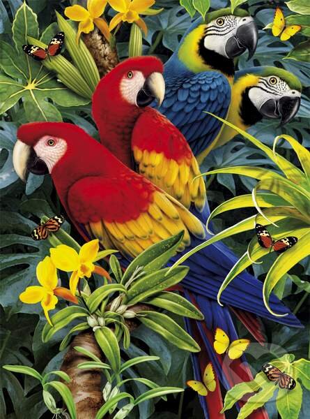 Majestic Macaws 3D, Clementoni, 2014