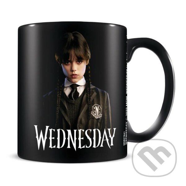 Levně Keramický hrnček Wednesday (Friendship) (315 ml)