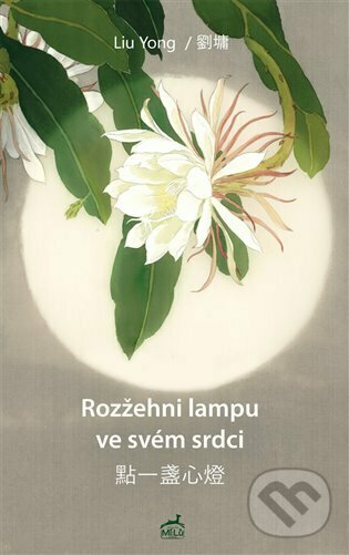 Levně Rozžehni lampu ve svém srdci - Liu Yong - kniha z kategorie Beletria