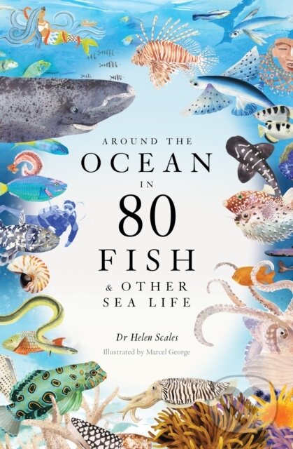Levně Around the Ocean in 80 Fish and other Sea Life - Helen Scales, Marcel George (Ilustrátor) - kniha z kategorie Biológia