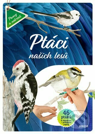 Levně Ptáci našich lesů (46 ptáků k obkreslení + průhledné papíry) - kniha z kategorie Pre deti a mládež