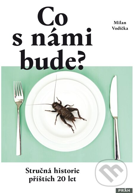E-kniha: Co s námi bude (Milan Vodička). Práh, 2014