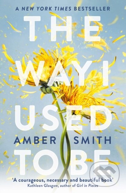 E-kniha: The Way I Used to Be (Amber Smith)