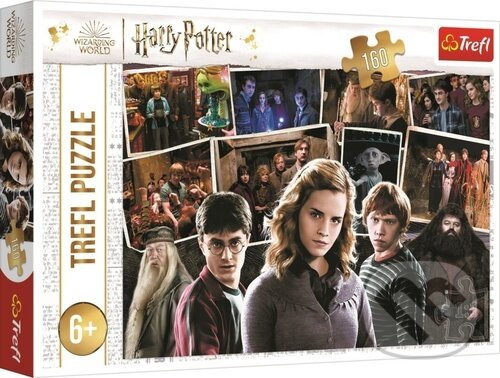 Levně Harry Potter s přáteli - puzzle z kategorie 60 – 300 dielikov