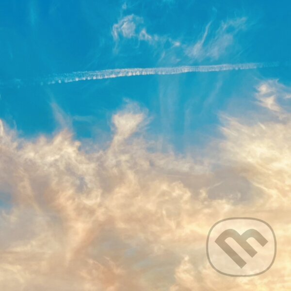 Levně 30 Seconds To Mars: It's The End Of The World But It's A Beautiful Day (Coloured) LP