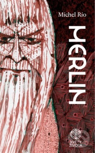 Levně Merlin - Michel Rio, Filip Faun Vancl (Ilustrátor) - kniha z kategorie Mýty, povesti a legendy