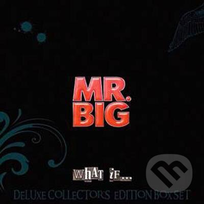 Hudobné CD: Mr. Big: What If... (Hudobné albumy)