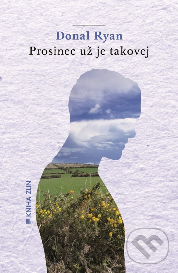 Kniha: Prosinec už je takovej (Donal Ryan). Kniha Zlín, 2015