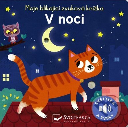 Levně V noci (Světýlka a zvuky) - kniha z kategorie Naučné knihy