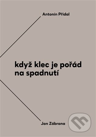Levně Když klec je pořád na spadnutí (Vzájemná korespondence Antonína Přidala a Jana Zábrany z let 1963–1984) - kniha z kategorie Rozhovory