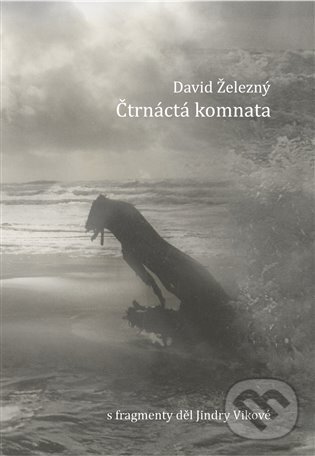 Levně Čtrnáctá komnata - David Železný - kniha z kategorie Poézia