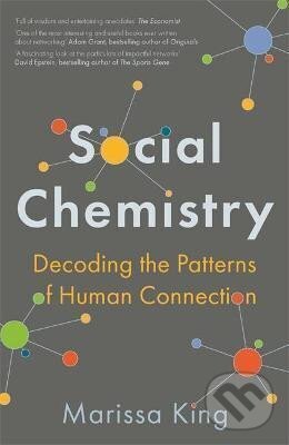 Levně Social Chemistry (Decoding the Patterns of Human Connection) - kniha z kategorie Psychológia