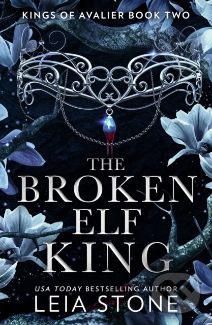Kniha: The Broken Elf King (Leia Stone)