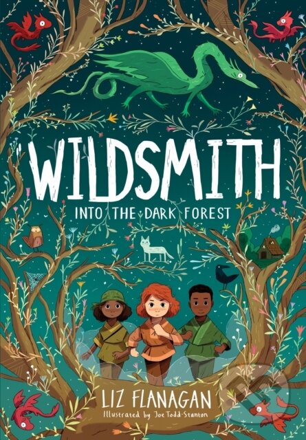 Levně Into the Dark Forest - Liz Flanagan, Joe Todd-Stanton (Ilustrátor) - kniha z kategorie Fantasy