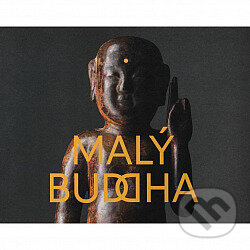 Levně Malý Buddha - Jana Ryndová - kniha z kategorie Teória umenia
