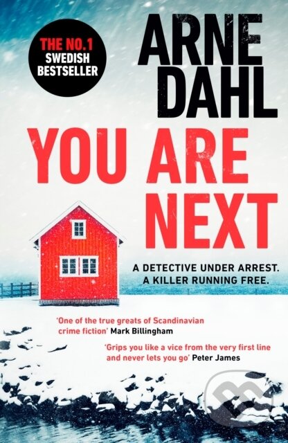 Levně You Are Next - Arne Dahl