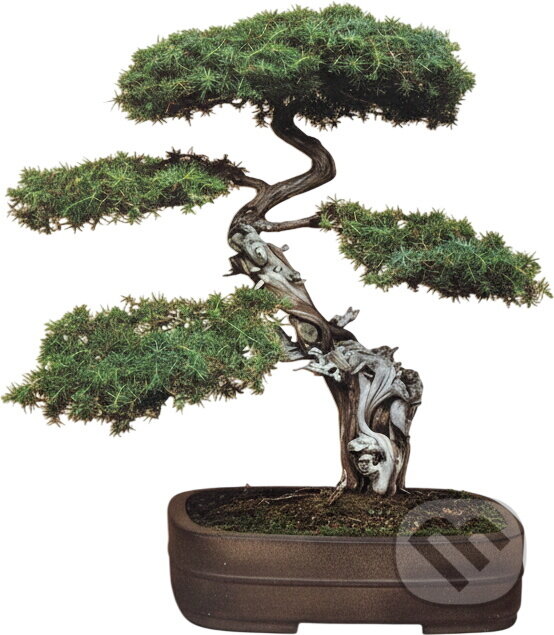 Kniha: Bonsai (Christine Stewart a Jan Tykač). , 1987