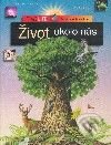 Kniha: Encyklopédia školáka - Život okolo nás (Autorský kolektiv). Slovart
