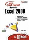 Kniha: Microsoft Excel 2000 za 10 minut (Jennifer Fulton)