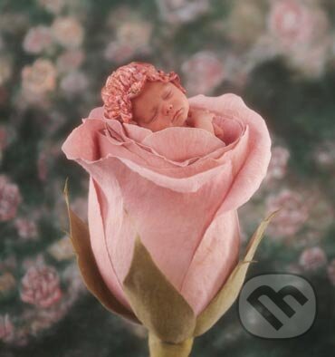 Dieťa v ruži - Anne Geddes, Schmidt