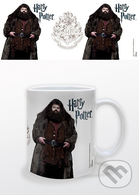 Harry Potter (Hagrid)   , Cards & Collectibles, 2015