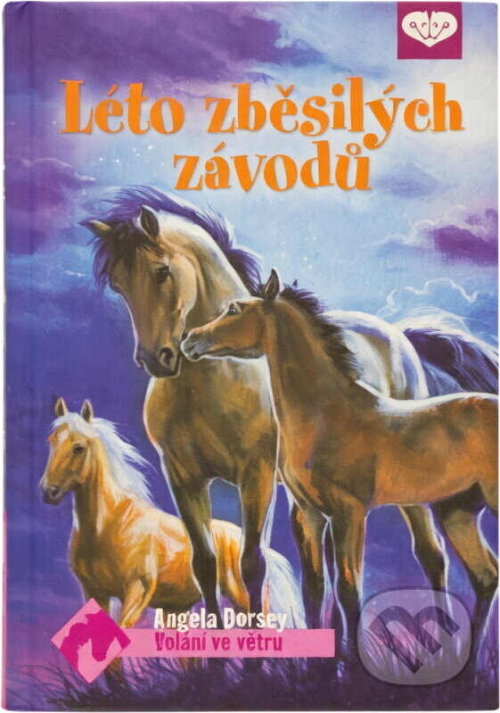 Kniha: Léto zběsilých závodů (Angela Dorsey). , 2012
