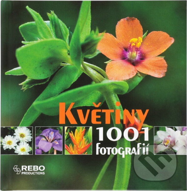 Kniha: Hořká čokoláda (Hana Pinknerová). Postilla, 2006