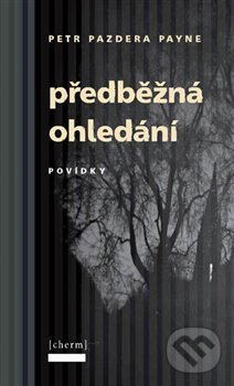 Levně Předběžná ohledání - Petr Pazdera Payne - kniha z kategorie Beletria