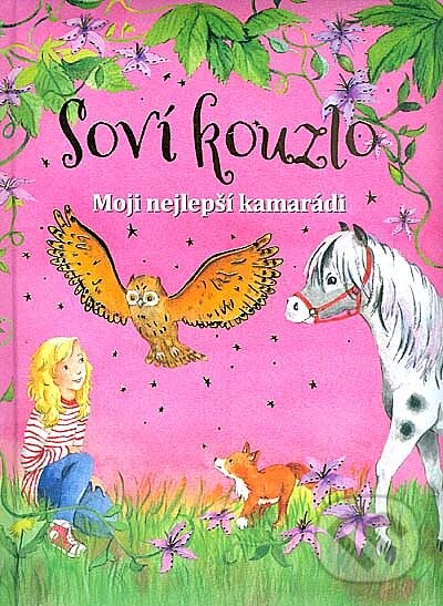 Kniha: Soví kouzlo (Ina Brandt). Levné knihy a.s., 2017