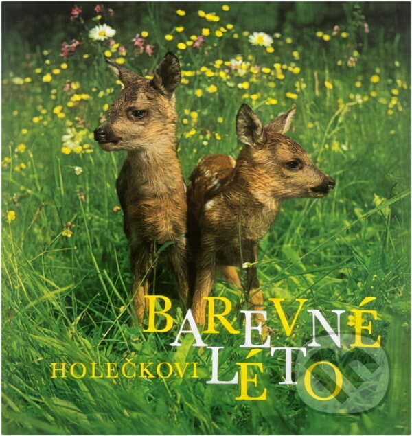 Kniha: Barevné léto (Jaroslav Holeček). , 1978
