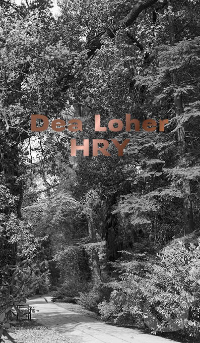 Kniha: Hry (Dea Loher). Divadelný ústav, 2015