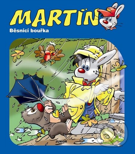Kniha: Martin - Běsnící bouřka (Nakladatelství Junior). Nakladatelství Junior, 2015