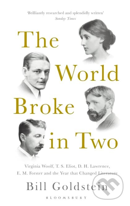 Kniha The World Broke in Two