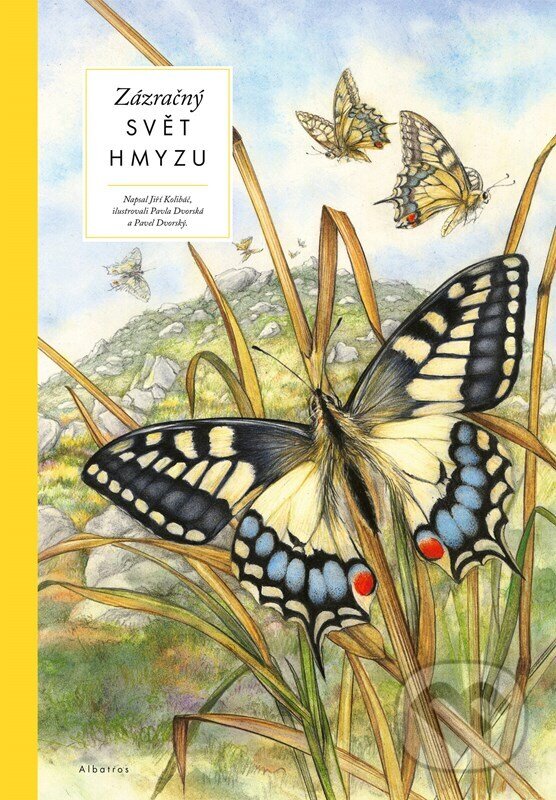 Levně Zázračný svět hmyzu - Jiří Kolibáč, Pavel Dvorský (ilustrátor), Pavla Dvorská (ilustrátor) - kniha z kategorie Naučné knihy