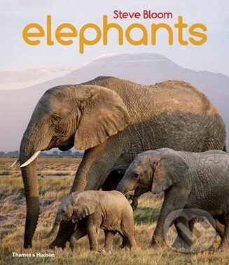 Levně Elephants - Steve Bloom, David Henry Wilson - kniha z kategorie Naučné knihy