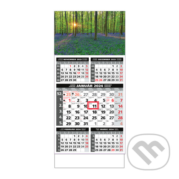 Štandard 5-mesačný sivý nástenný kalendár 2024 - les s kvetmi, Spektrum grafik, 2023