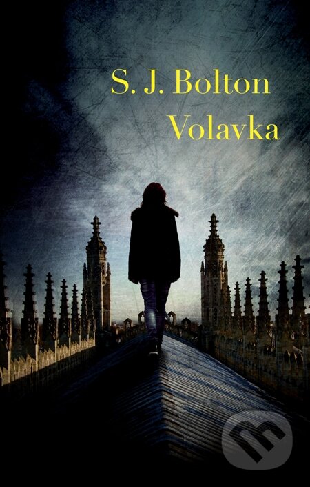 E-kniha: Volavka (Sharon J. Bolton). Domino, 2015