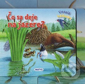 Kniha: Čo sa deje na jazere? (Matys). Matys, 2015