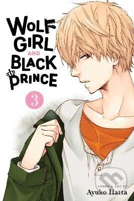 Kniha Wolf Girl and Black Prince 3