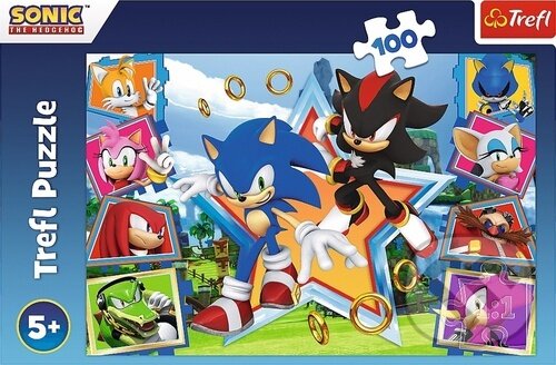 Levně Sonic Seznamte se s ježkem (100 dílků) - puzzle z kategorie 60 – 300 dielikov