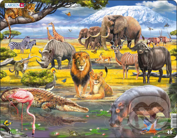 Levně Savana FH30 - puzzle z kategorie Náučné puzzle