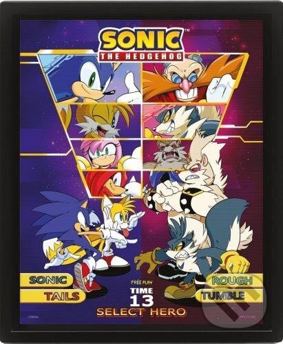 Levně Sonic 3D obraz - Select your Fighter