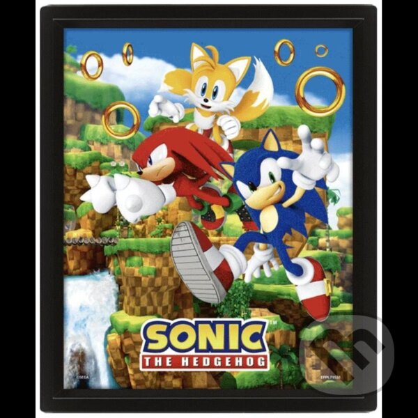 Levně Sonic 3D obraz - Catching Rings